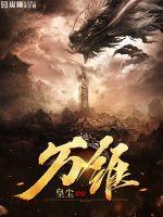 万维全自动网络考试平台怎么安装