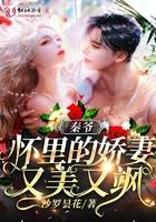 秦爷怀里的娇妻又美又飒